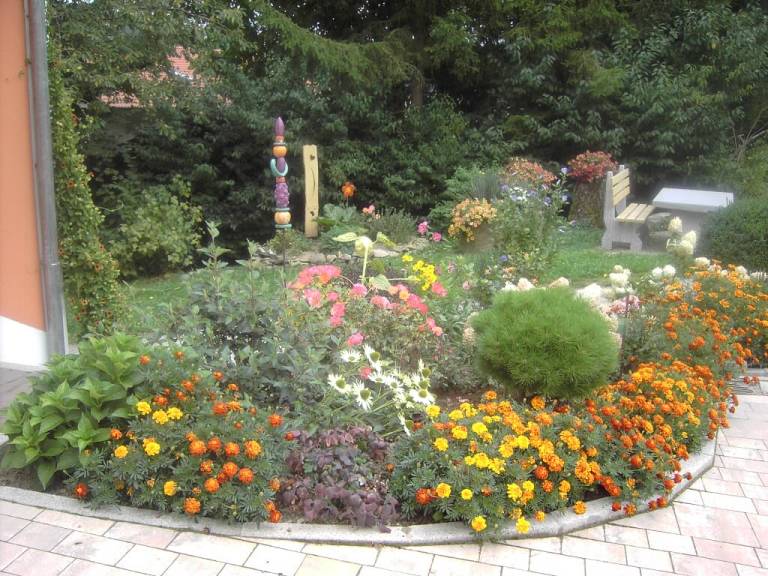 foto24