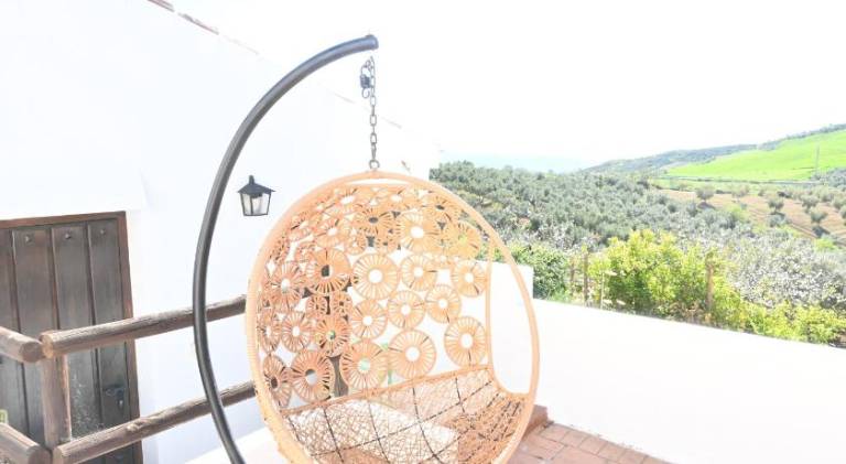 Finca Amorosa — photo 5