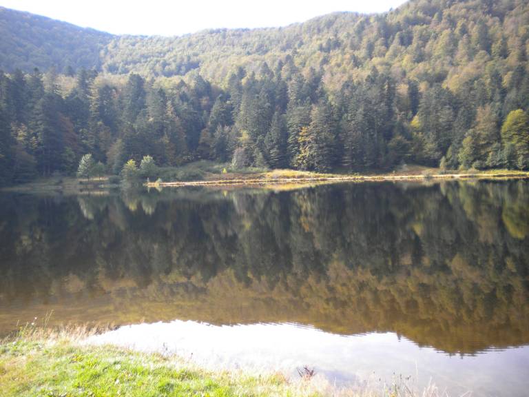 foto11