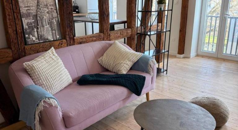 Lovely holiday apartment | Near Strasbourg Cathedral | Pets are welcome in Strasbourg