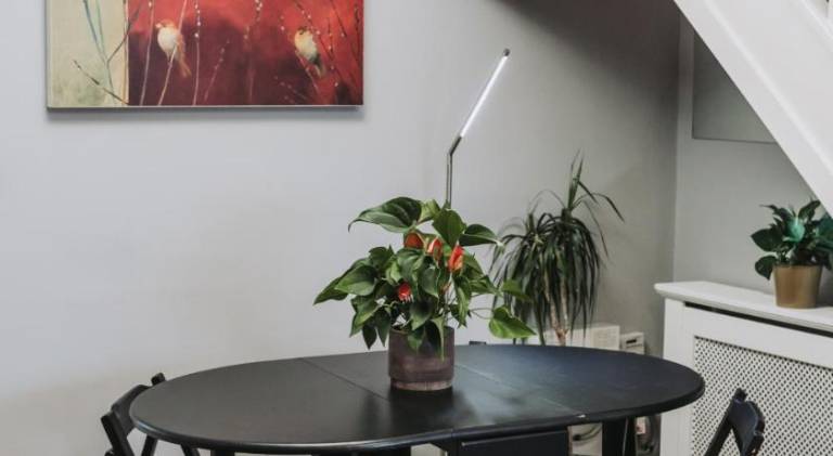No10 Bristol - 2 Bedroom house with private garden and parking — photo 5