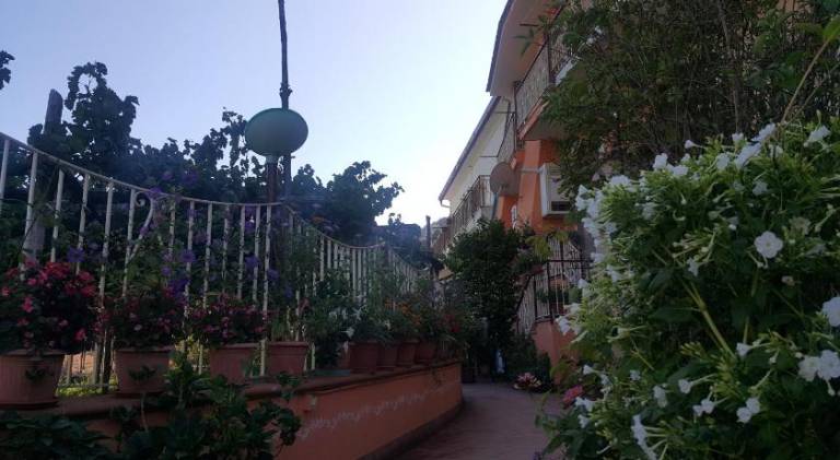 foto49