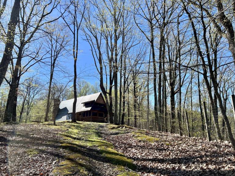 Cabin Whites Creek