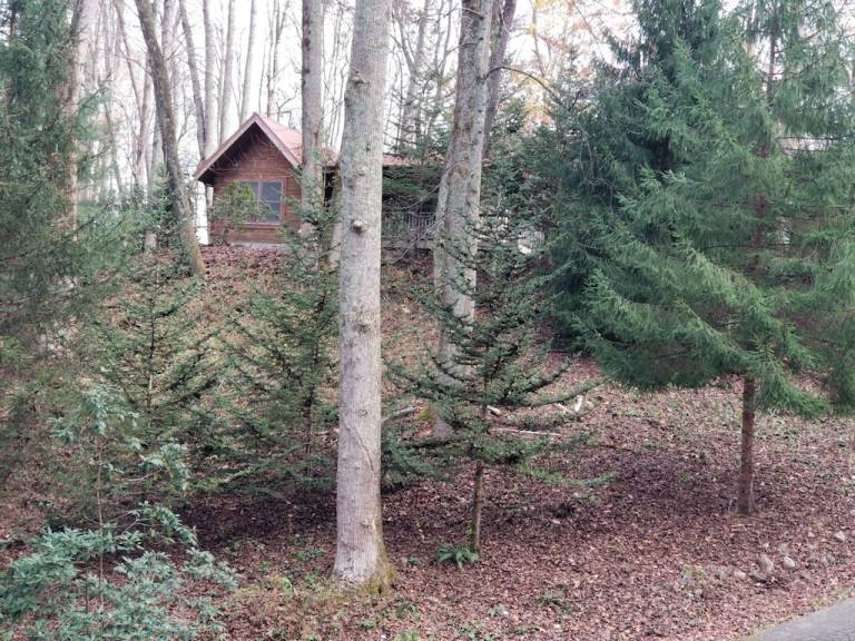 Cabin Waynesville