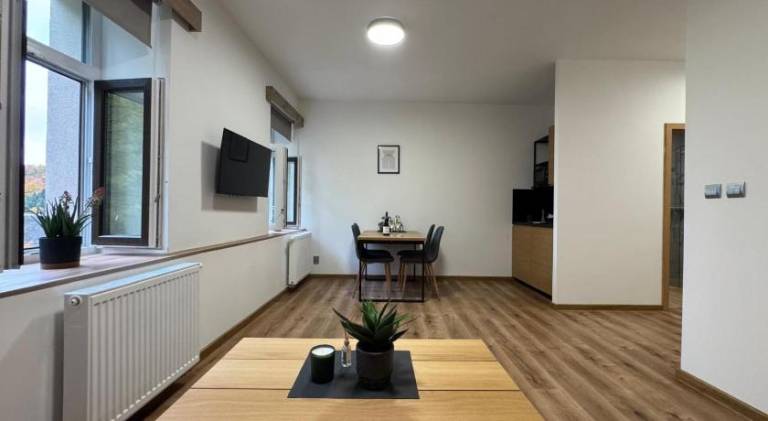 Rental apartment with sauna, jacuzzi & garden — photo 4