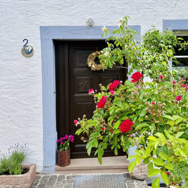 Appartement  Manderscheid
