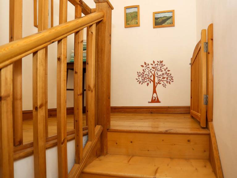 foto7