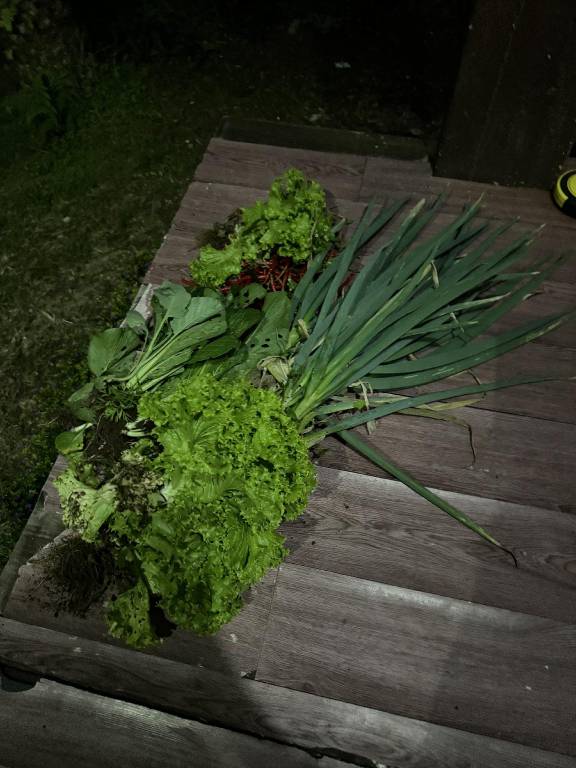 foto34