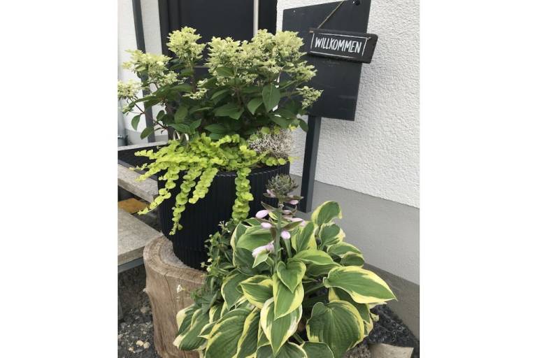 Ferienhaus Bad Brückenau