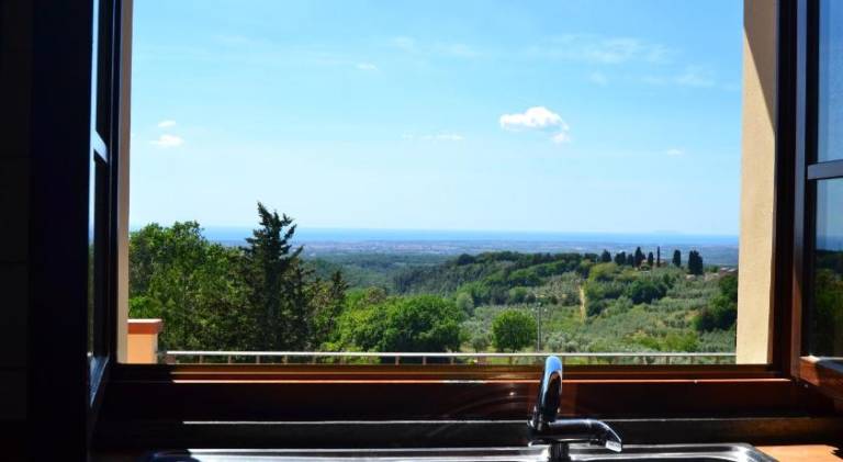 Apartment with terrace & yard — photo 3