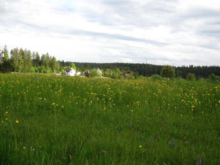 foto23