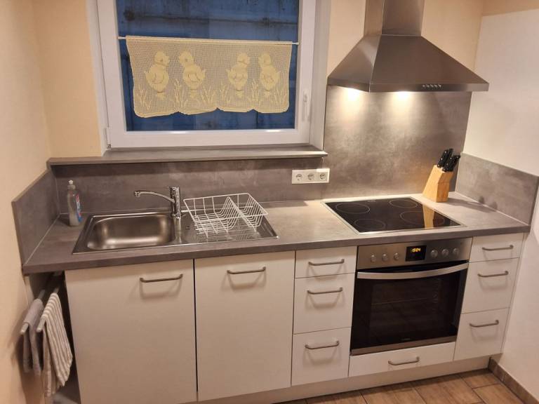 Rental apartment with BBQ, patio & garden | Garden view — photo 3