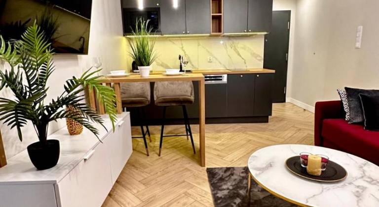 Apartamenty Kielce- APARTAMENT SAPHIRE przy zalew kielecki, faktura, parking, centrum — photo 4