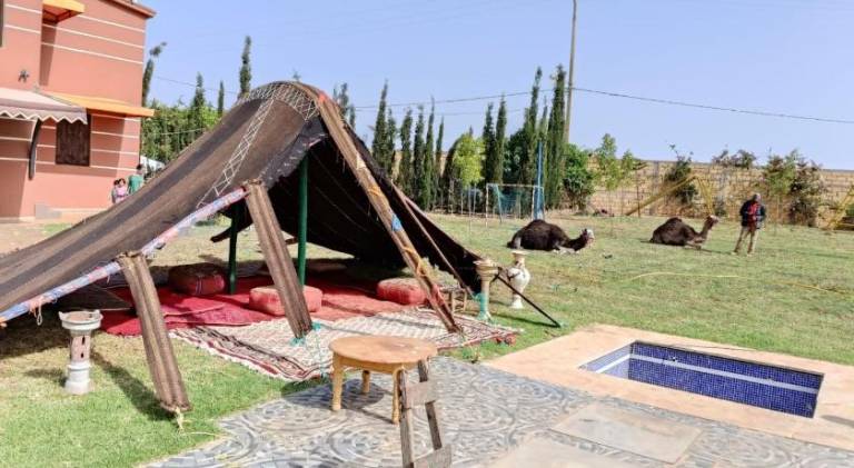 House with pool | Pets are welcome in Porto-Vecchio