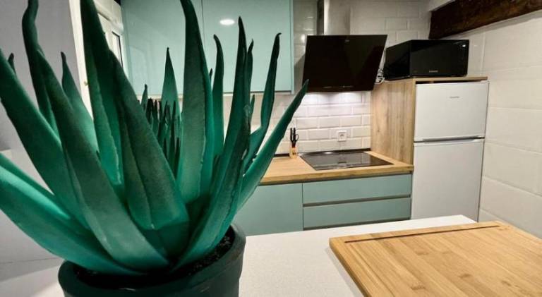 Pleasant holiday apartment | Pets allowed in Burgos