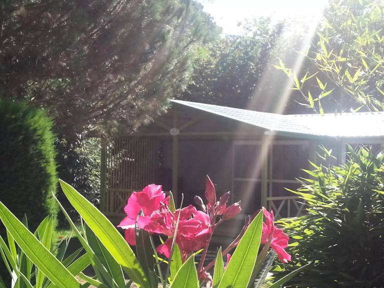 Pleasant chalet with garden, terrace & barbeque | Pets are welcome — photo 4