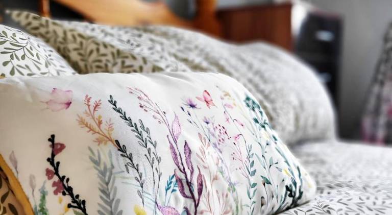House | Pets are welcome in Nottingham