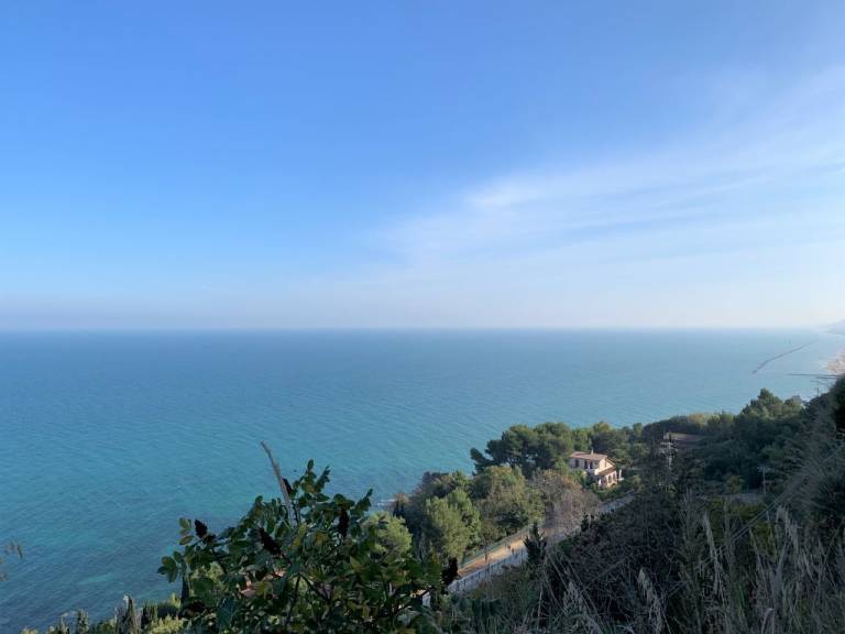 foto31