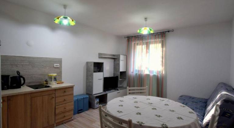 Holiday apartment with 1 room for 3 persons — photo 5