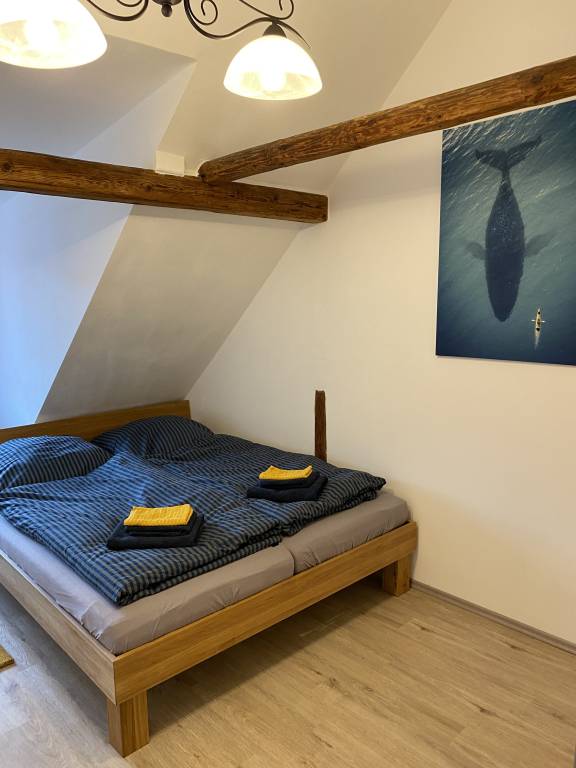 foto22