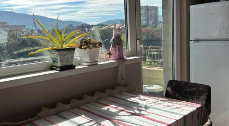 Apartment | Pets are welcome — photo 5