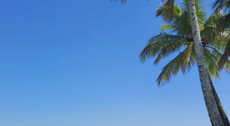 SAMFBAS - Praia da Enseada - Guaruja — photo 4