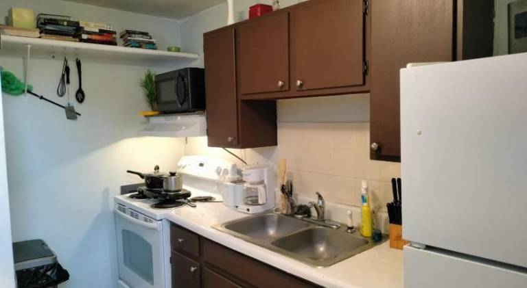 Holiday apartment | Pets are welcome — photo 3