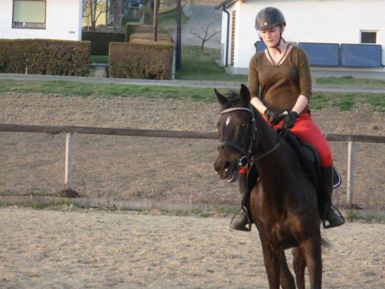 foto6