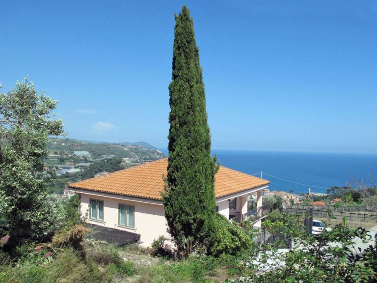 foto12