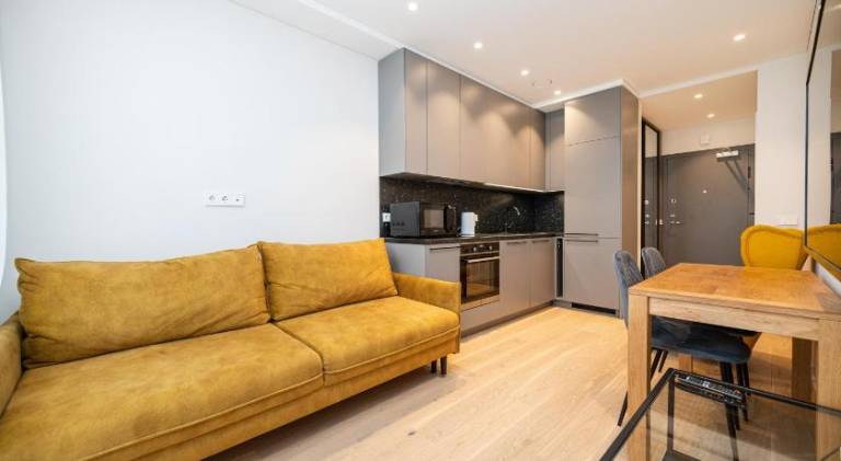 Holiday apartment | Pets are welcome in Vilnius