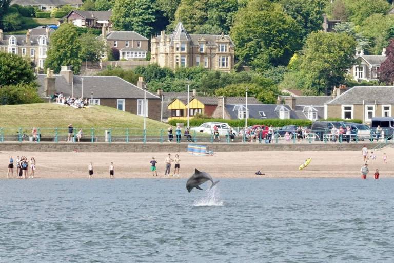 Cottage Broughty Ferry