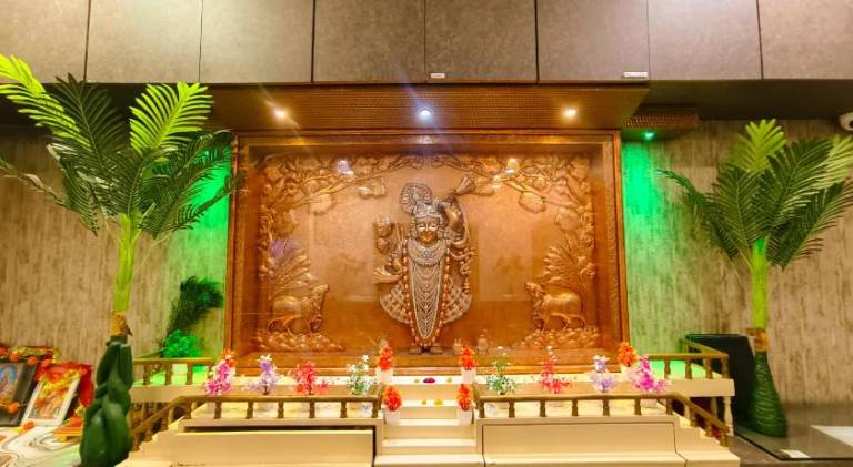 Hotel Udaipur Stay — photo 2