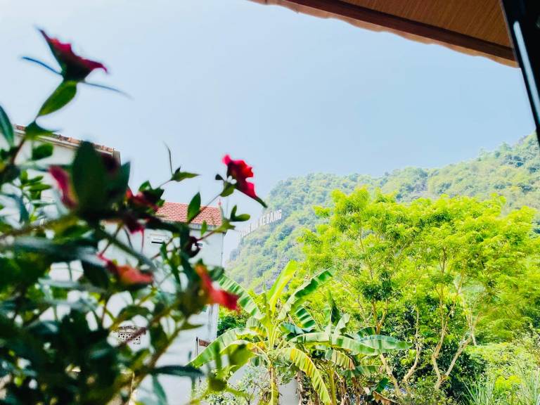Holiday apartment with BBQ, yard & terrace — photo 4