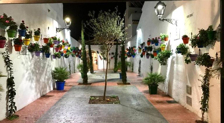 Casa San Miguel — photo 5