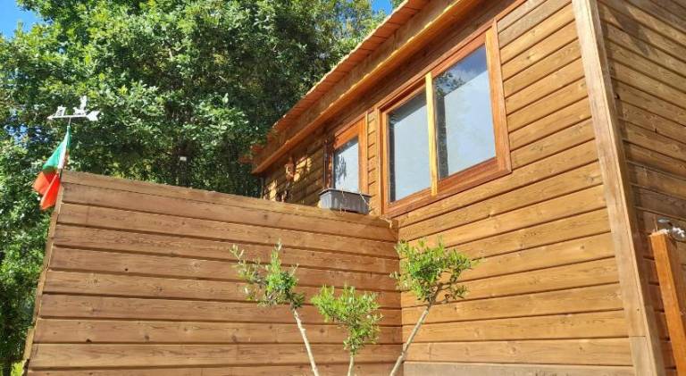 Beautiful farm | Pets are welcome in Leiria