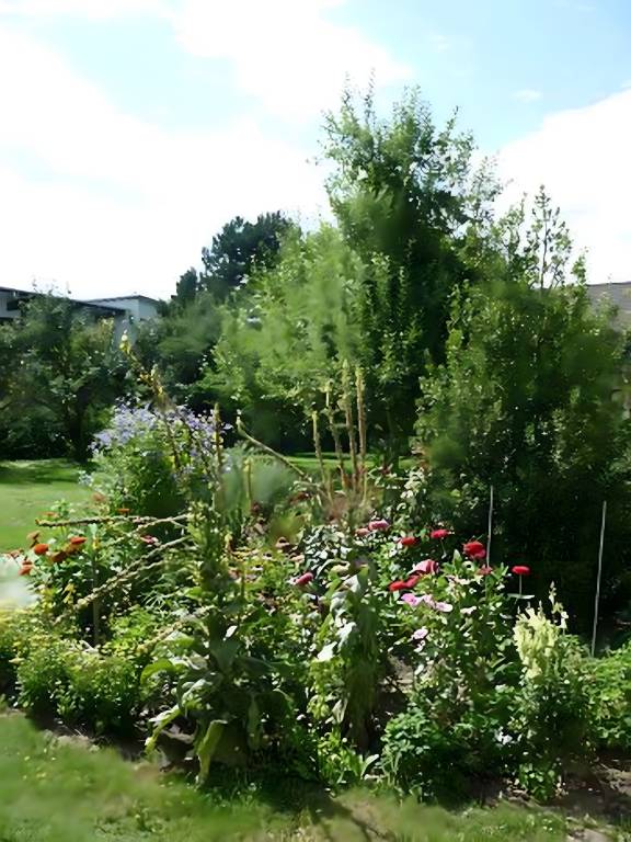 foto9