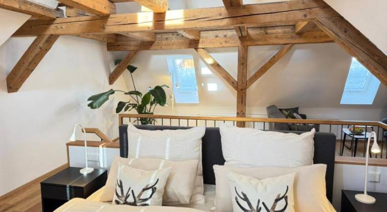 Pleasant apartment | Pets allowed in Freudenstadt