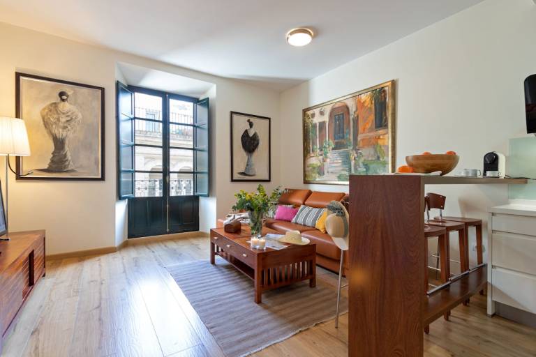 Lovely apartment | Near Seville Cathedral | Dogs allowed — photo 3