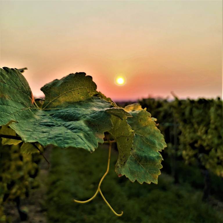 foto12