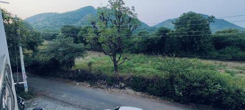 foto16