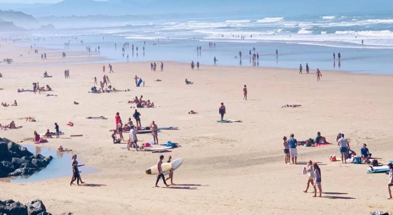 Beautiful serviced apartment with terrace | Pets allowed in Biarritz