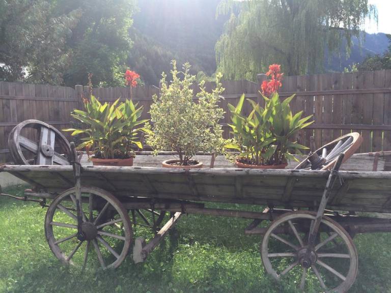 Holiday apartment with sauna, terrace & garden — photo 5