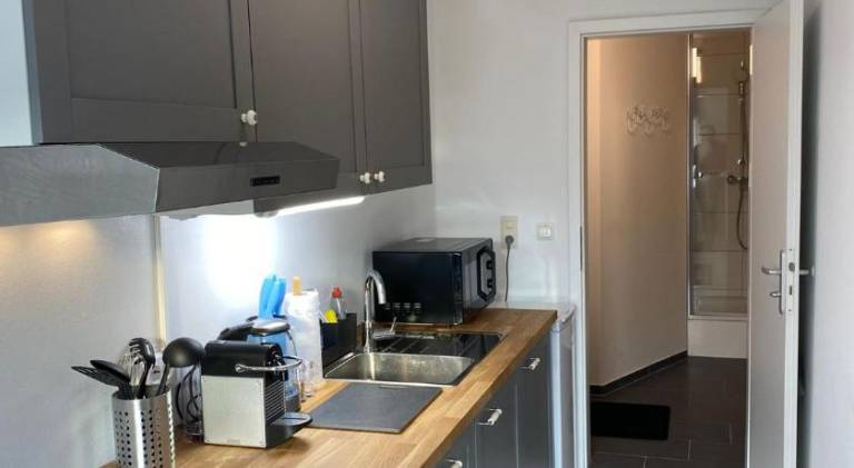 Pleasant rental apartment with sauna, terrace & garden | Good for workation | Pets allowed — photo 2