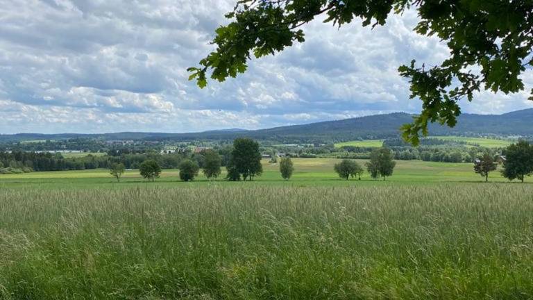 Ferienwohnung  Bad Lobenstein