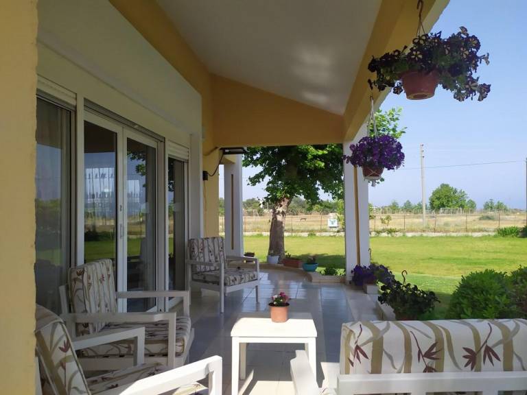 foto10