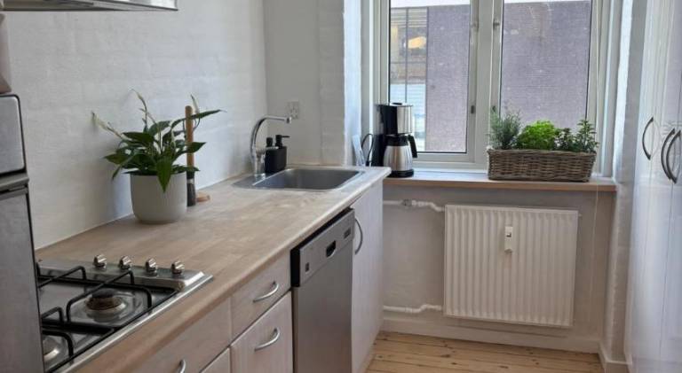 Holiday apartment | Pets allowed — photo 2