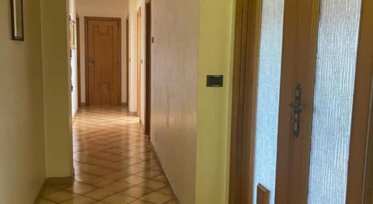 Rental apartment | Pets are welcome — photo 4