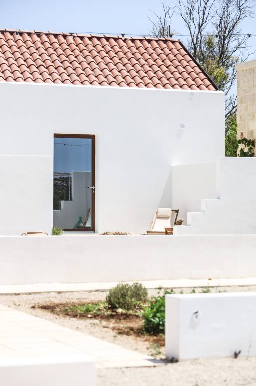 Pajara 2