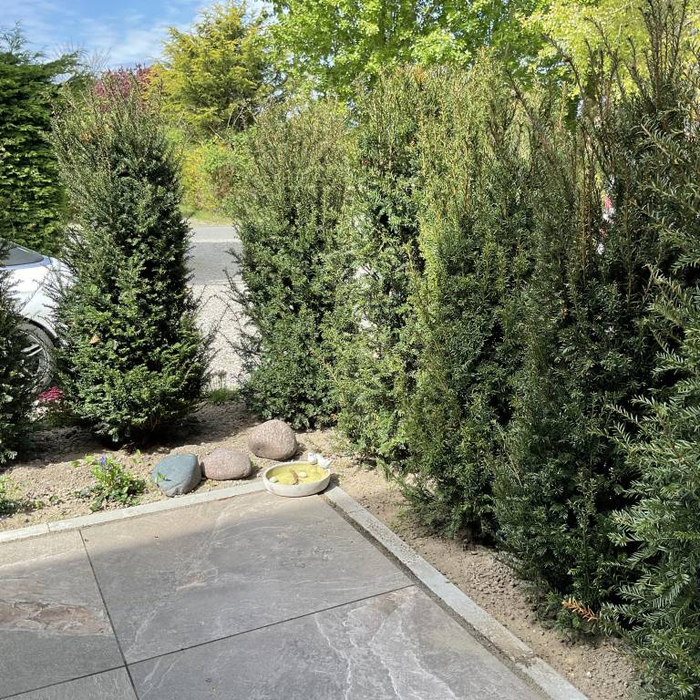foto14