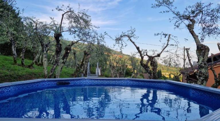Rental apartment with pool — photo 3